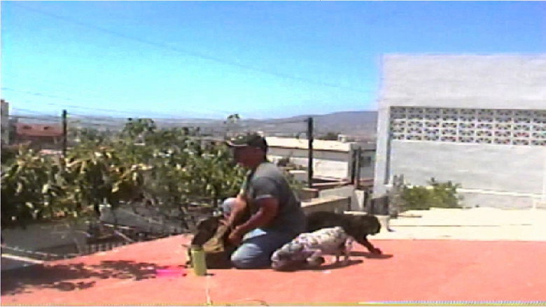 Los que se quedan still 1