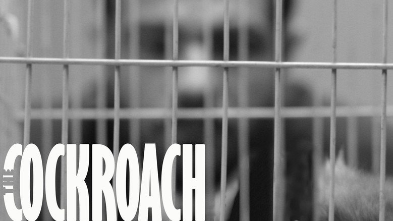 The Cockroach still 1