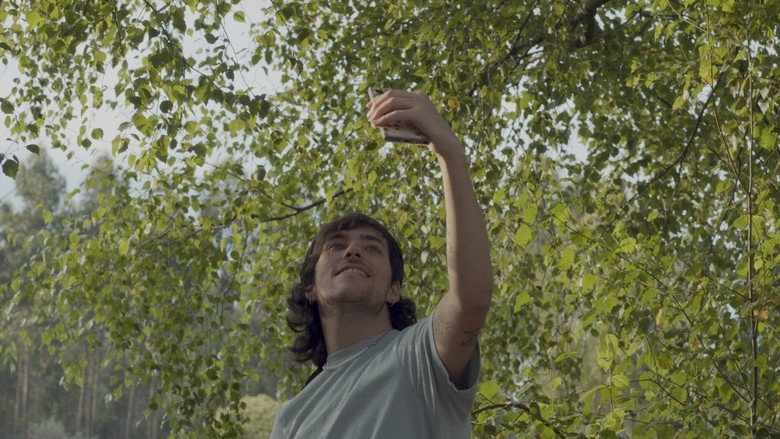 Blow Down still 3
