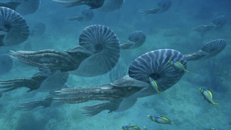 Sea Monsters: A Prehistoric Adventure still 8
