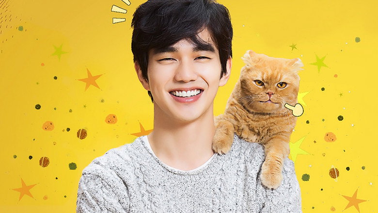 Imaginary Cat still 2