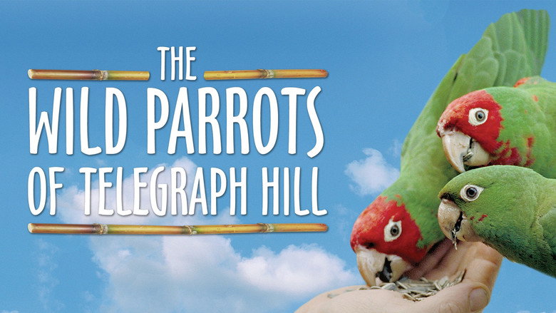 The Wild Parrots of Telegraph Hill still 7