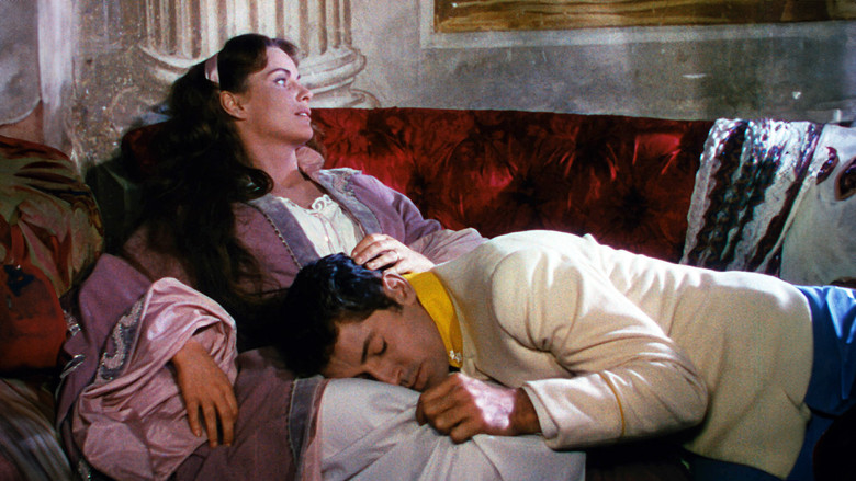 Senso still 6