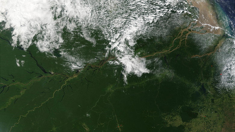 Amazon Abyss still 3