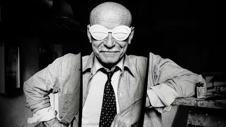 Lucio Fontana - The Final Cut still 1