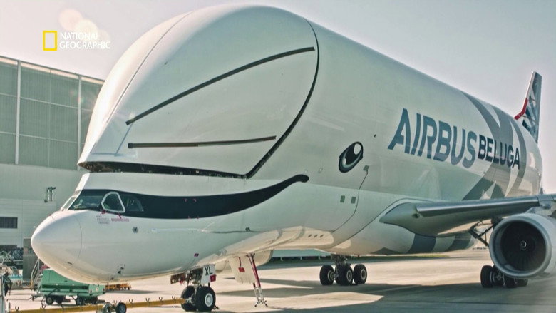 Megastructures: Airbus Beluga XL still 2