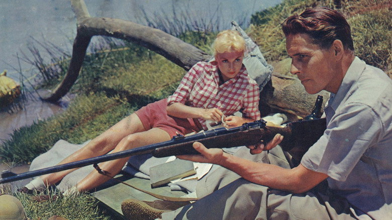 Safari still 7