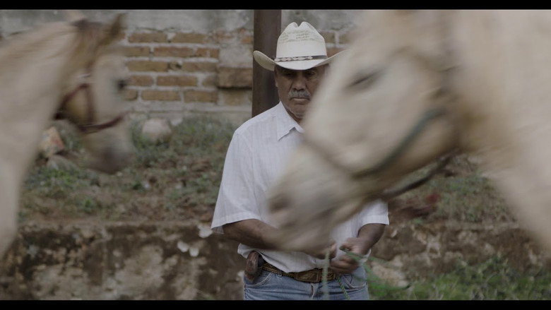 Horse Wrangler still 1
