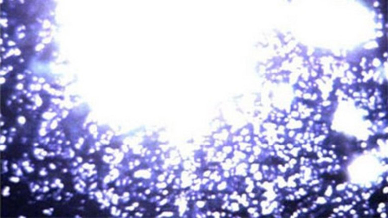 Tranquil still 2