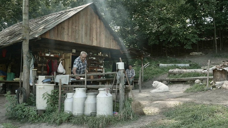 Ovčiarskou cestou still 2