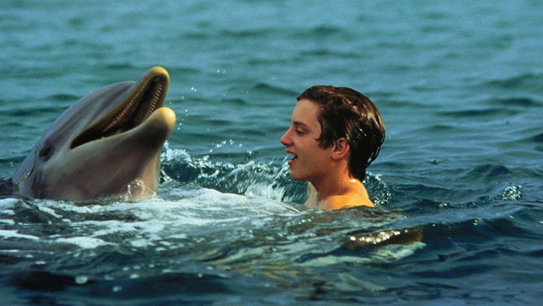 Flipper still 8