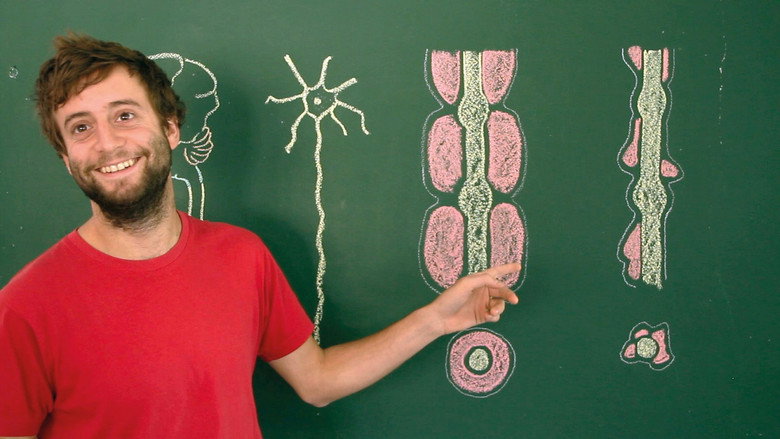 Toubib, 12 années dans la vie d'un étudiant en médecine still 7