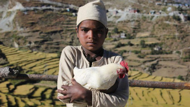 The Black Hen still 2