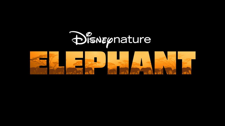 In the Footsteps of Elephant still 6