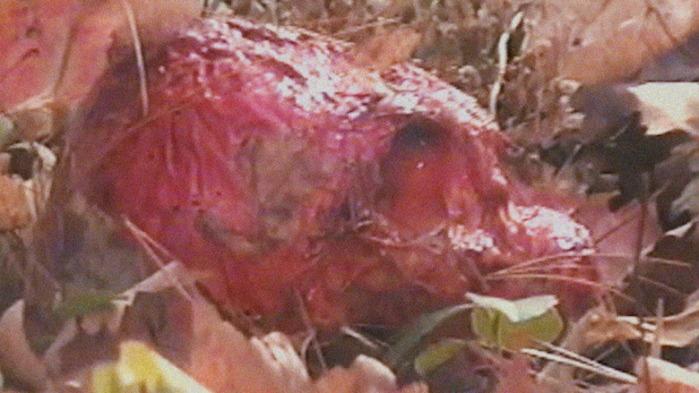 Bonkey: The Mutated still 4