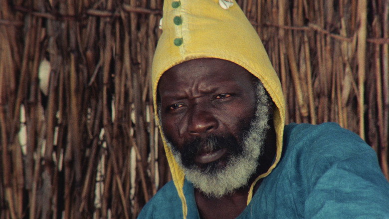 Ceddo still 7