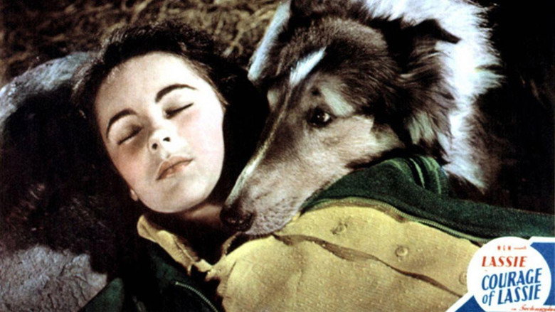 Courage of Lassie still 2