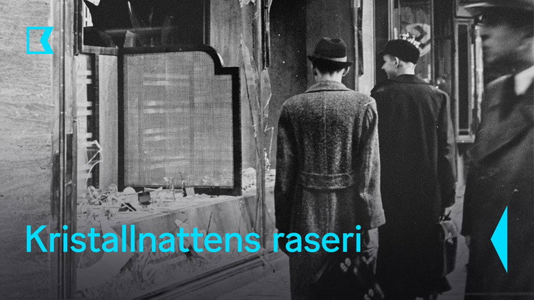 La Nuit de cristal : Les pogroms de novembre still 2