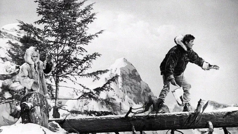 The Alaskans still 8