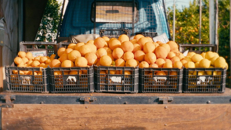 O Tempo De Comer Uma Laranja still 4
