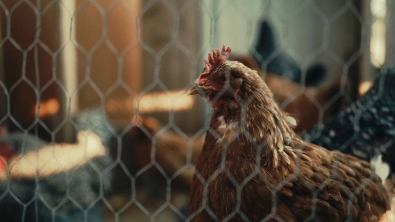 Pollo Loco still 7