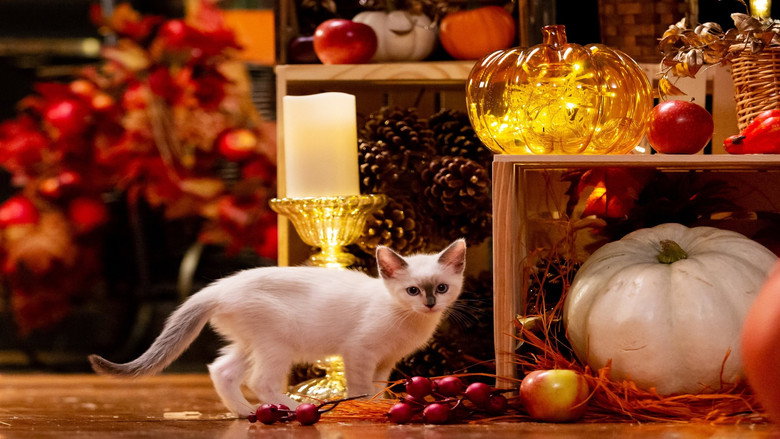 A Happy & Friends Yule Log still 2