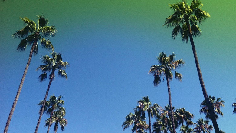 Lost in LA still 1