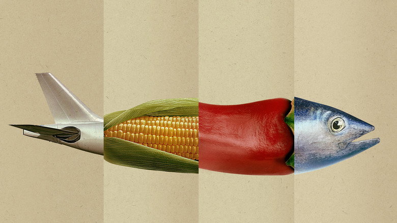 Omnivore still 5