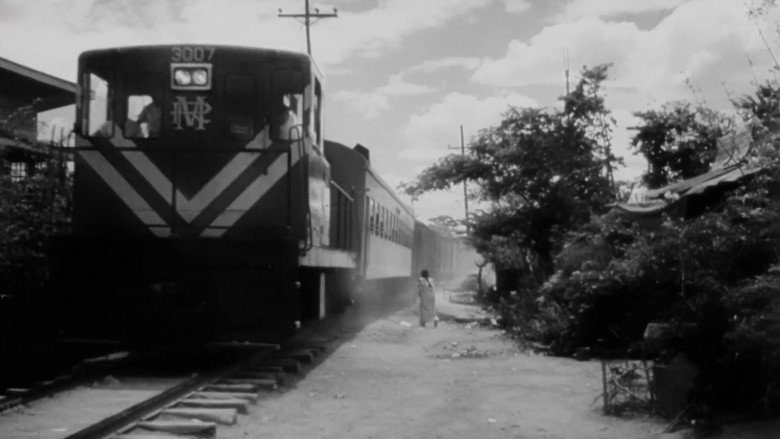 Malvarosa still 2