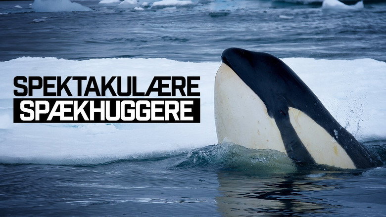Expedition Killer Whale still 3