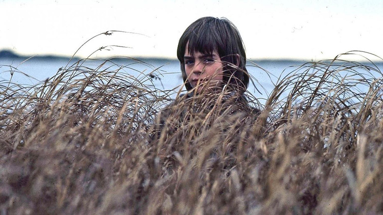 Storm Boy still 2