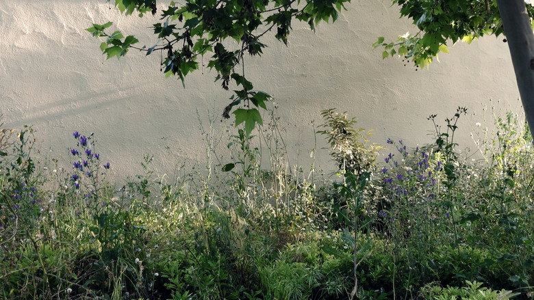 Del barro al barrio still 2