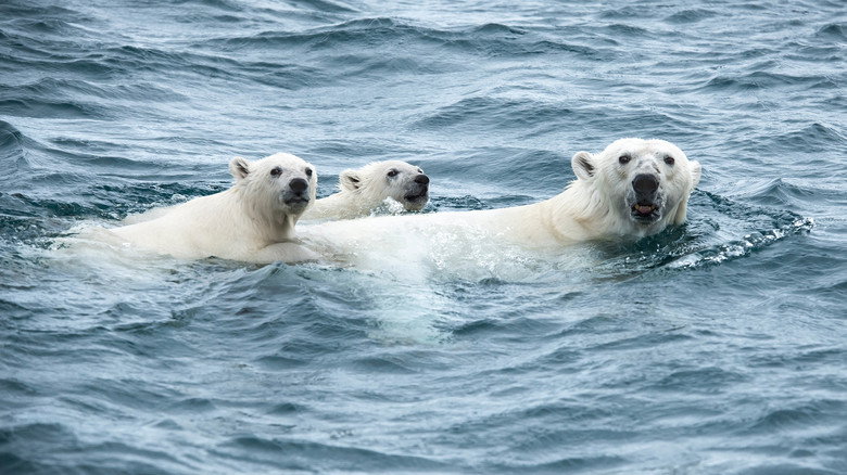 Under Thin Ice still 1