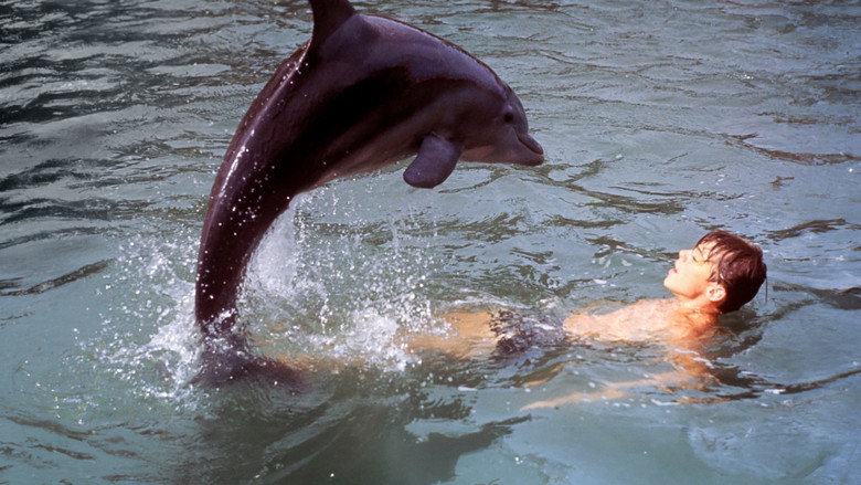 Flipper's New Adventure still 1