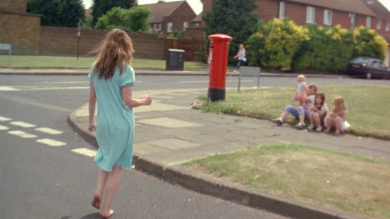 Wasp still 6