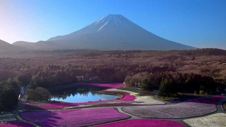 Japon, aux racines du soleil still 4