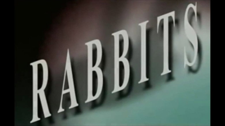 Rabbits still 1