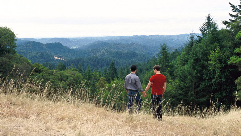 Redwoods still 5
