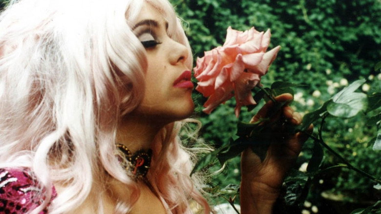 Pervirella still 3