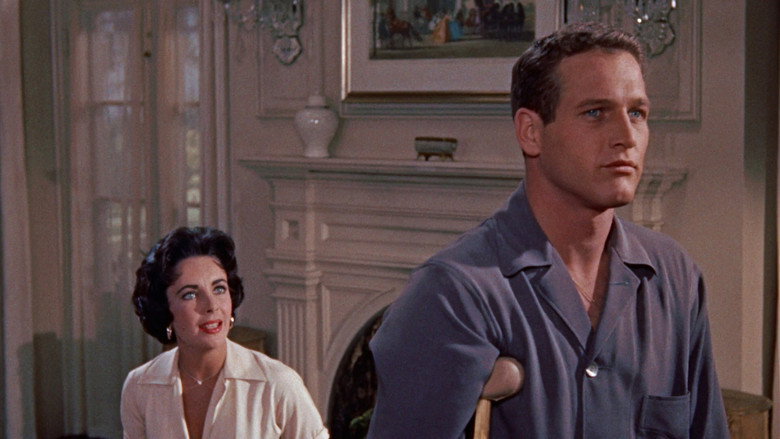 Cat on a Hot Tin Roof still 1