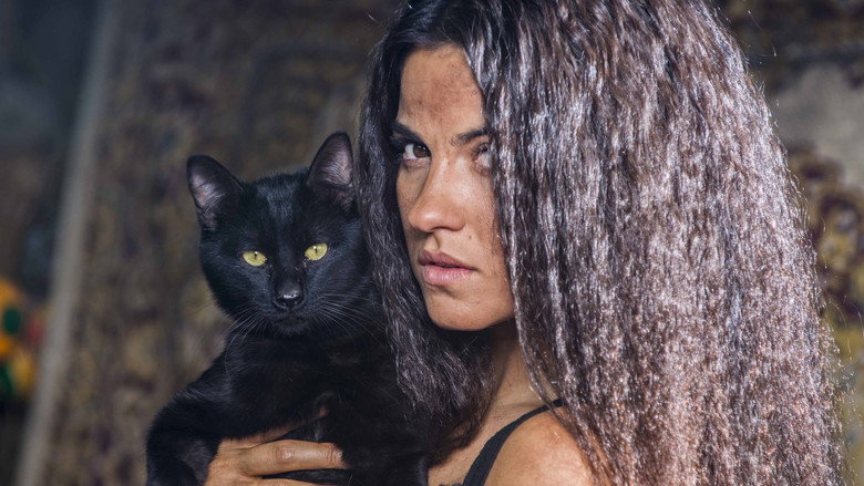 The Stray Cat still 2