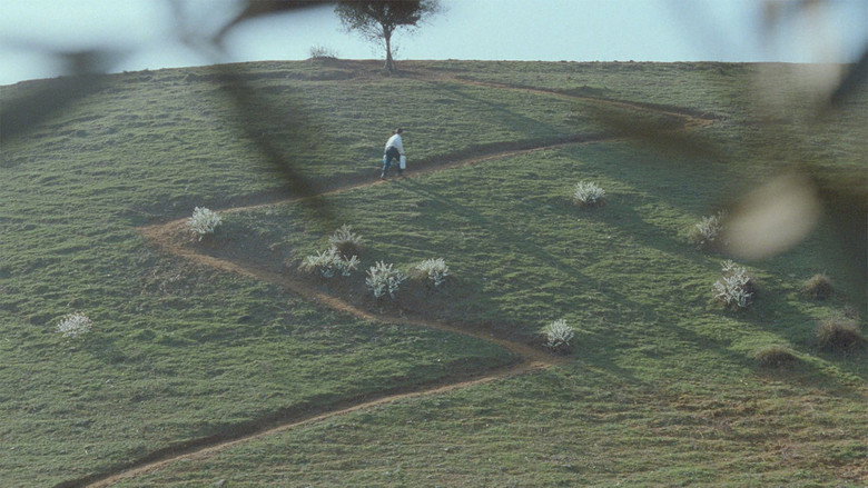 Through the Olive Trees still 7