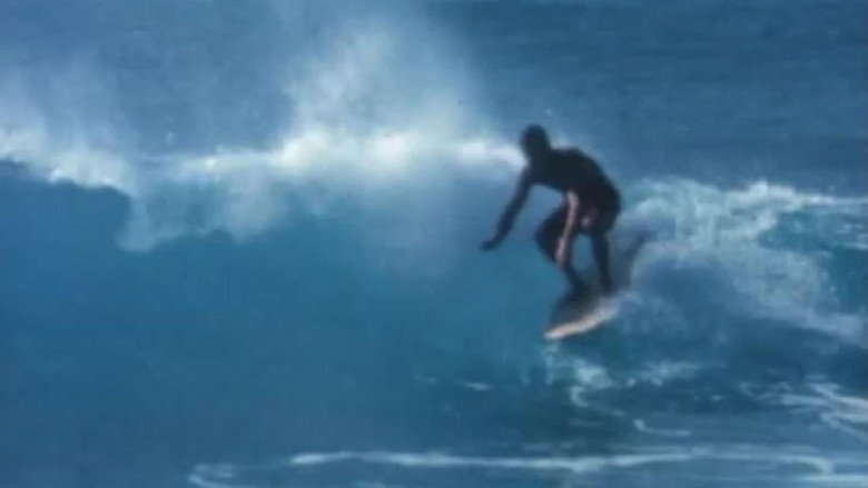 Surfing Hollow Days still 4