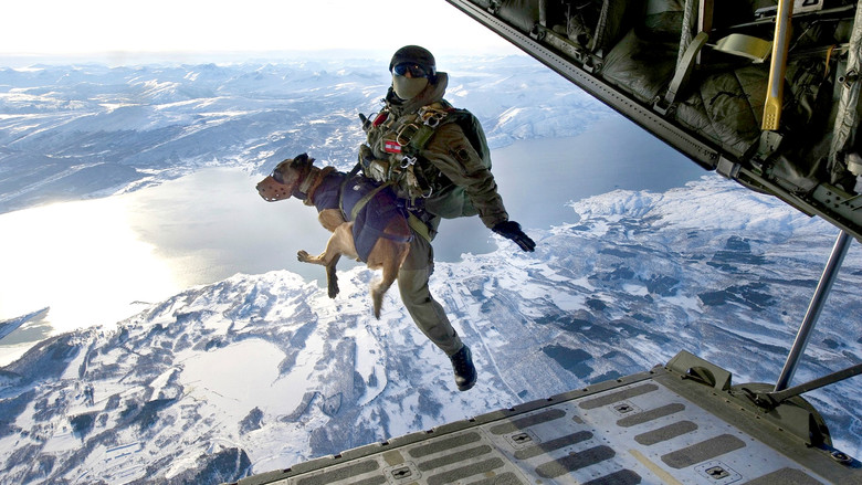 SEAL Dog still 1