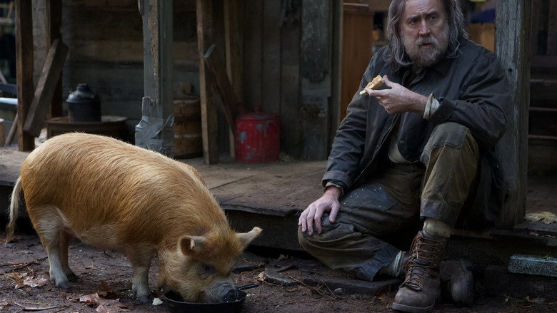 Pig still 3