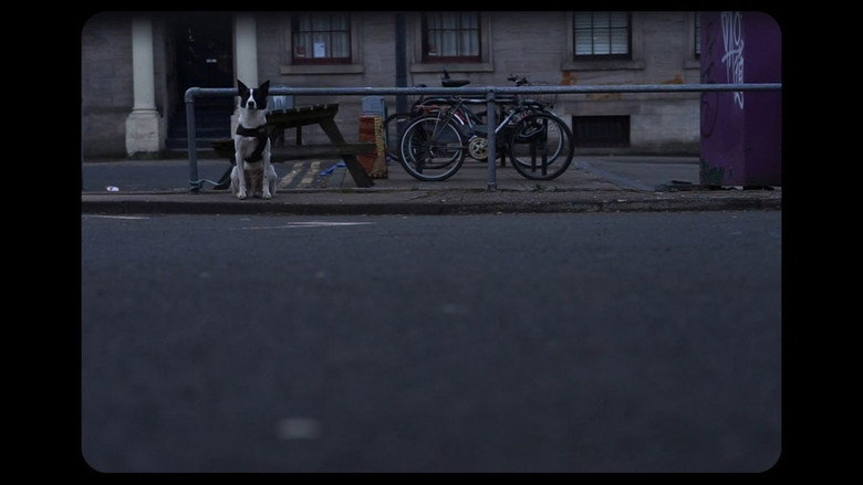 Silence still 3
