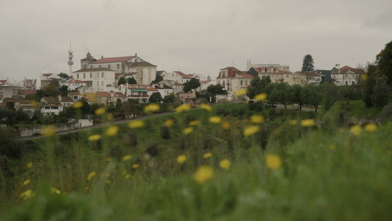 The Outsiders of Abrantes still 8