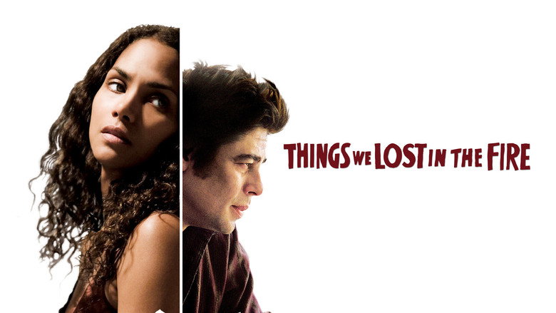 Things We Lost in the Fire still 3