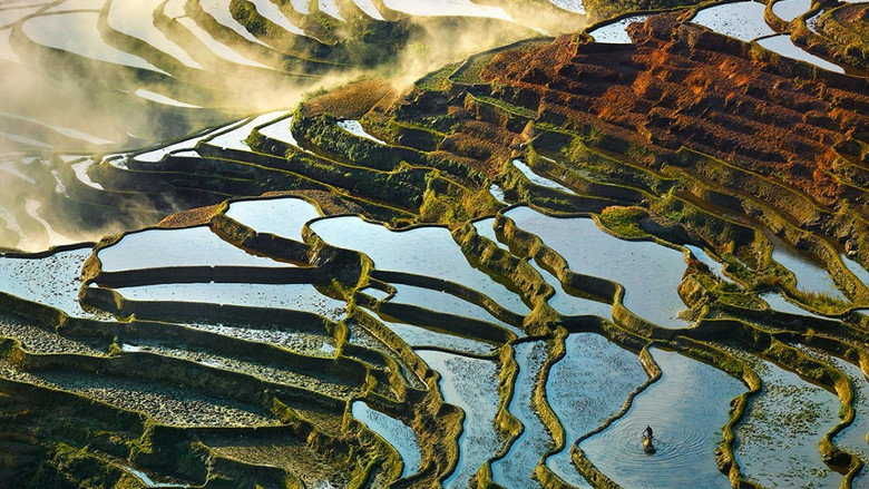 H2O: The Molecule that Made Us still 3