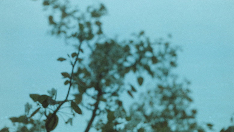 Ideal and reality still 1